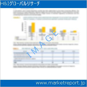 市場と産業調査レポートのイメージ